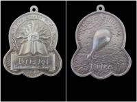 2013 Collectible Medallion