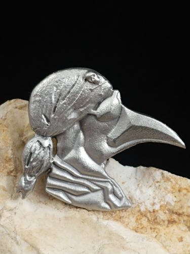 Pirate Plague Doctor