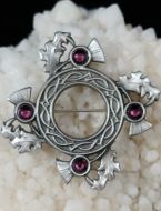 Thistles with Crystals Brooch